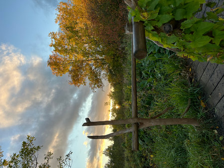 Autumn Landscape with the image of trees and the sky with cloudsの写真素材