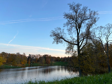 Beautiful autumn landscape with lake and trees in the park on a sunny dayの写真素材