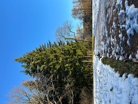 Winter view of the snow-covered hillside and the blue skyの写真素材