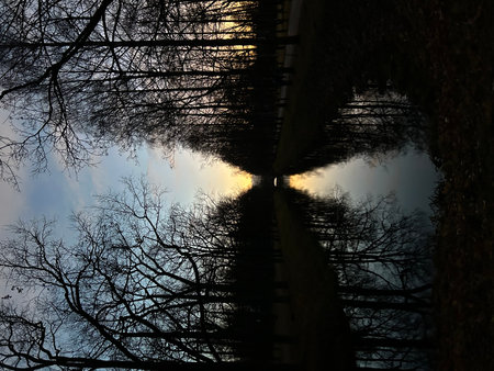 Reflection of a bridge in the water with trees in the foregroundの写真素材