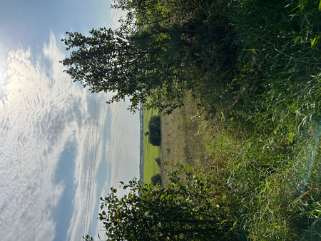 Aerial view of green meadow and blue sky with white cloudの写真素材