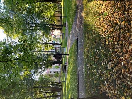 Street in the center of the city with trees and green grass.の写真素材