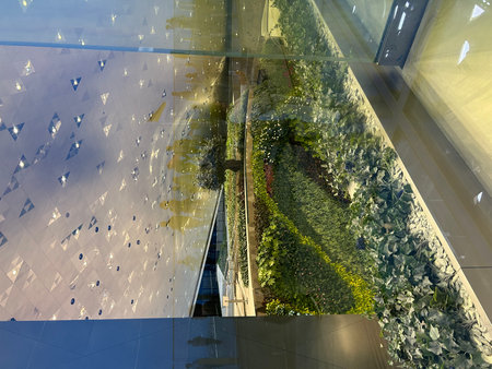 Glass wall with green plants inside modern office building in Bangkok, Thailandの写真素材