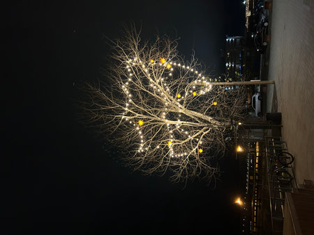 Christmas lights on the streets of the city at night in Beijing, Chinaの写真素材