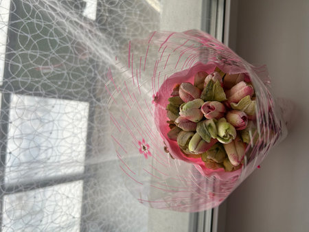 Bouquet of tulips in a pink package on the windowsillの写真素材