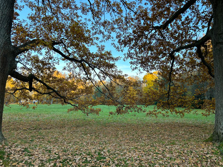 Autumn landscape. Park in the center of the city in the fall.の写真素材