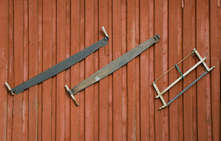 Old saw on a red barn gate