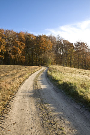 Earth road at a small forest near Silkeborg, Denmarkの写真素材
