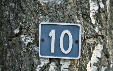 White number 10 on blue background attached to a treeの写真素材