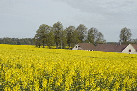 Small farm house in a field.の写真素材