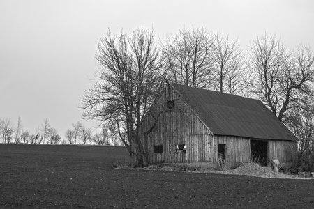 Old barn in a field near Silkeborg , Denmarkのeditorial素材