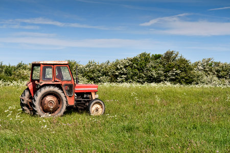 Old tractor in the field on a summer day.