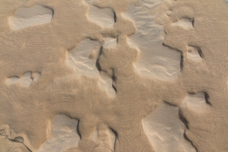 Closeup on imprints in the sand. Can be used as backgroundの写真素材