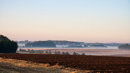 Early morning in the misty fieldsの写真素材