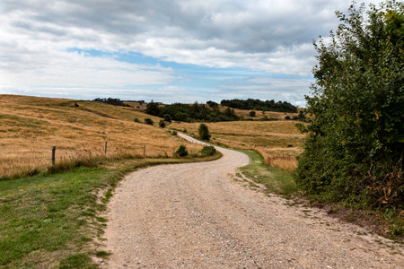 Dirt road on the northern part of Samsoe, Denmarkの写真素材