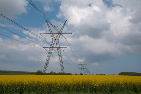 High-voltage Pylons in a rapeseed field