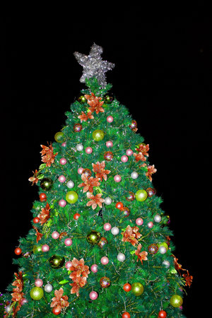 Christmas Treeの写真素材