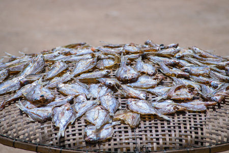 Dried fish of Thai foodの写真素材