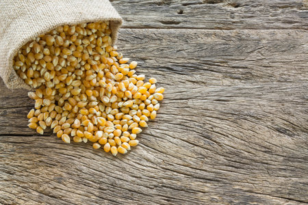 raw corn seeds on old and crack wooden board with copy space for text, to view.