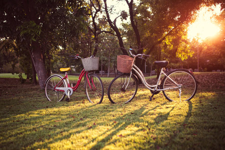 Two bicycle parking in park as romanticの写真素材