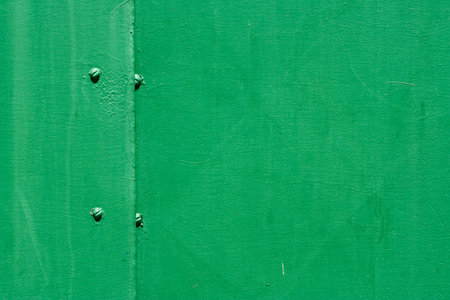 Fragment of painted metal gates with rivets. Texture, backgroundの写真素材