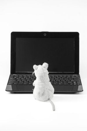 Laptop and a toy mouse on a white backgroundの写真素材