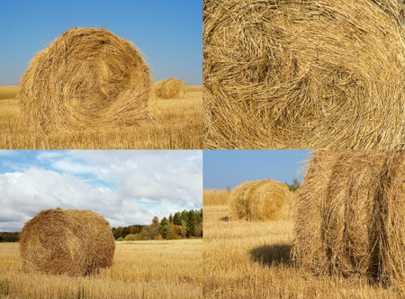 Knitted woolen gloves and hat lying on a white backgroundの写真素材