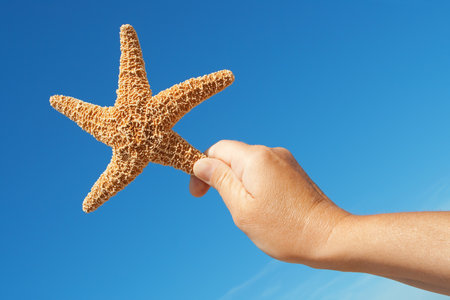 Starfish in his hand against the blue skyの写真素材