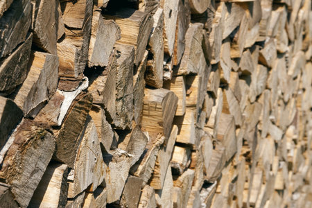 Chopped and stacked pile of pine and birch wood  Texture, background
