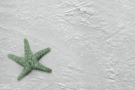 Starfish on the ice surfaceの写真素材