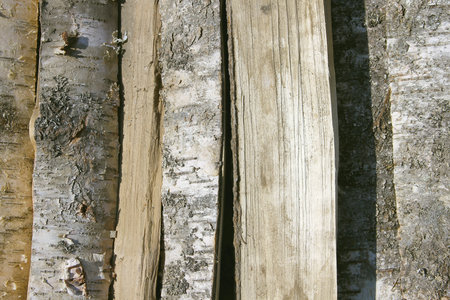 Chopped and stacked pine and birch logs. Texture, background
