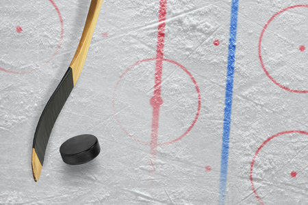 Stick, puck and hockey field. Concept, hockey
