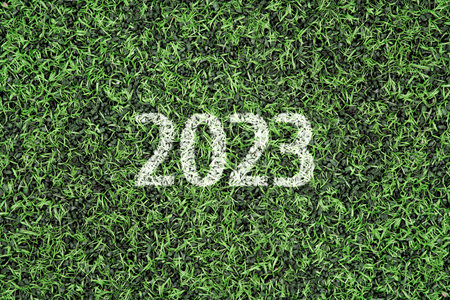Conceptual fragment of synthetic grass background. Texture, concept, design