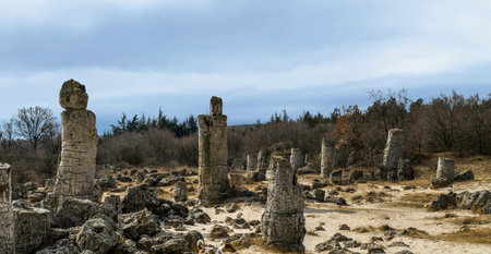 Pobiti Kamani, orThe Stone Desert, is a desert-like rock phenomenon located on the north west Varna Province border in Bulgaria. It is considered the only desert in Bulgaria and one of few found in Europe.[citation needed] The desert consists of sand duneの写真素材