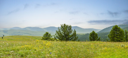 View From Mongolian Mountain Panorama. You can see for miles upon miles.の写真素材