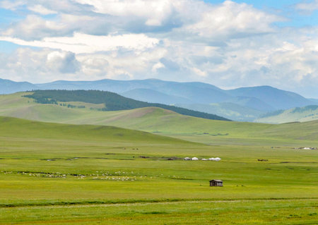 A huge expanse of grasslands used by nomadic Mongolians for their herds of sheep and horses to graze.の写真素材