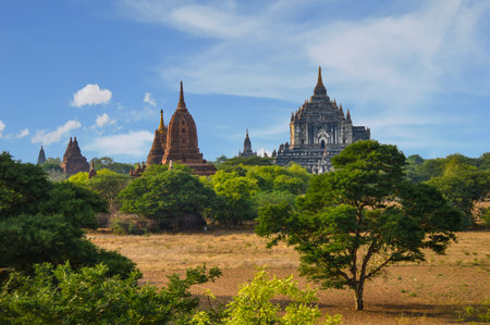 Shwesandaw Pagoda and Multiple Reddish Stupas Among the Trees in Bagan, Mayanmarの写真素材