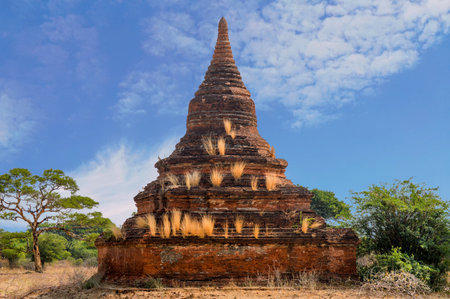 Solo Reddish Stupa Covered With Golden Grass Off By Itself In Bagan Fieldの写真素材