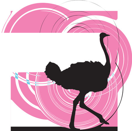 Ostrich illustrationのイラスト素材
