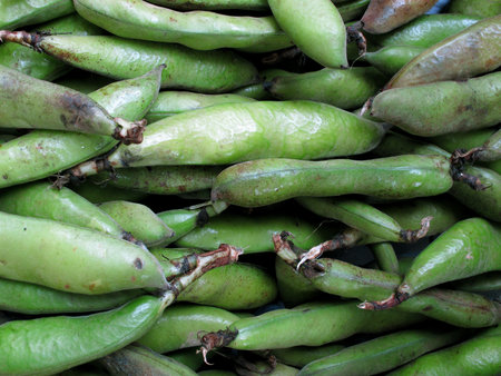 fresh Green beansの写真素材