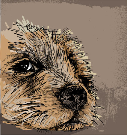 Sketch of a Dogのイラスト素材