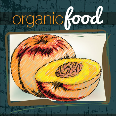 Organic Food illustrationのイラスト素材