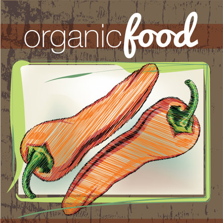 Organic Food illustrationのイラスト素材