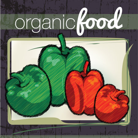 Organic Food illustrationのイラスト素材