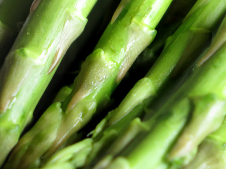 Fresh, green asparagus close-upの写真素材