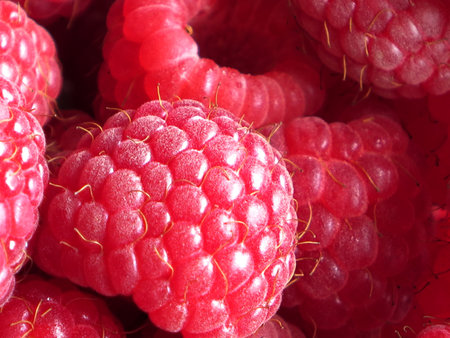 beautiful ripe raspberries fruit background