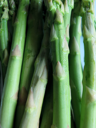 Fresh, green asparagus close-upの写真素材