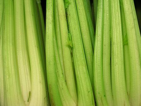 Fresh celery for sale at the Farmers Marketの写真素材