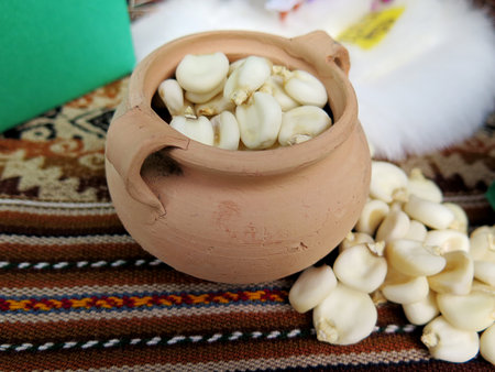 corn nuts mote, traditional peruvian foodの写真素材