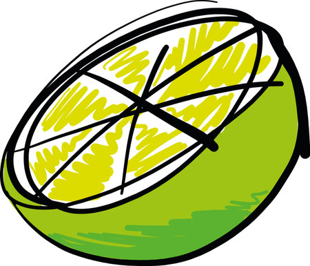 Hand drawn green Lemon fruit vector illustrationのイラスト素材